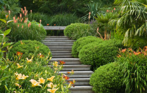 Acres Wild Form and Foliage Decking Steps