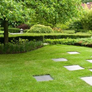 Acres Wild Japanese Jewel Grass Area