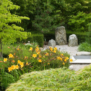 Acres Wild Japanese Jewel Planting