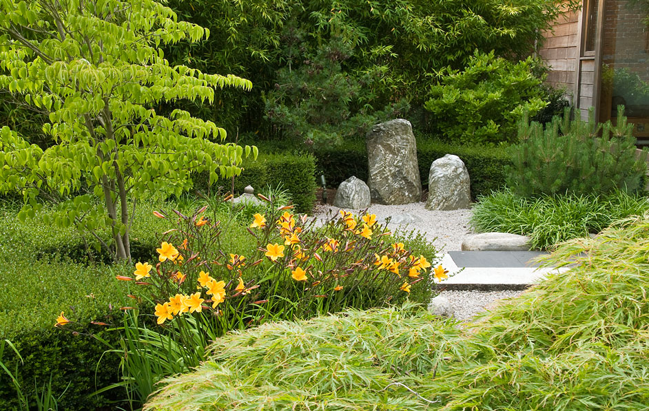 Acres Wild Japanese Jewel Planting