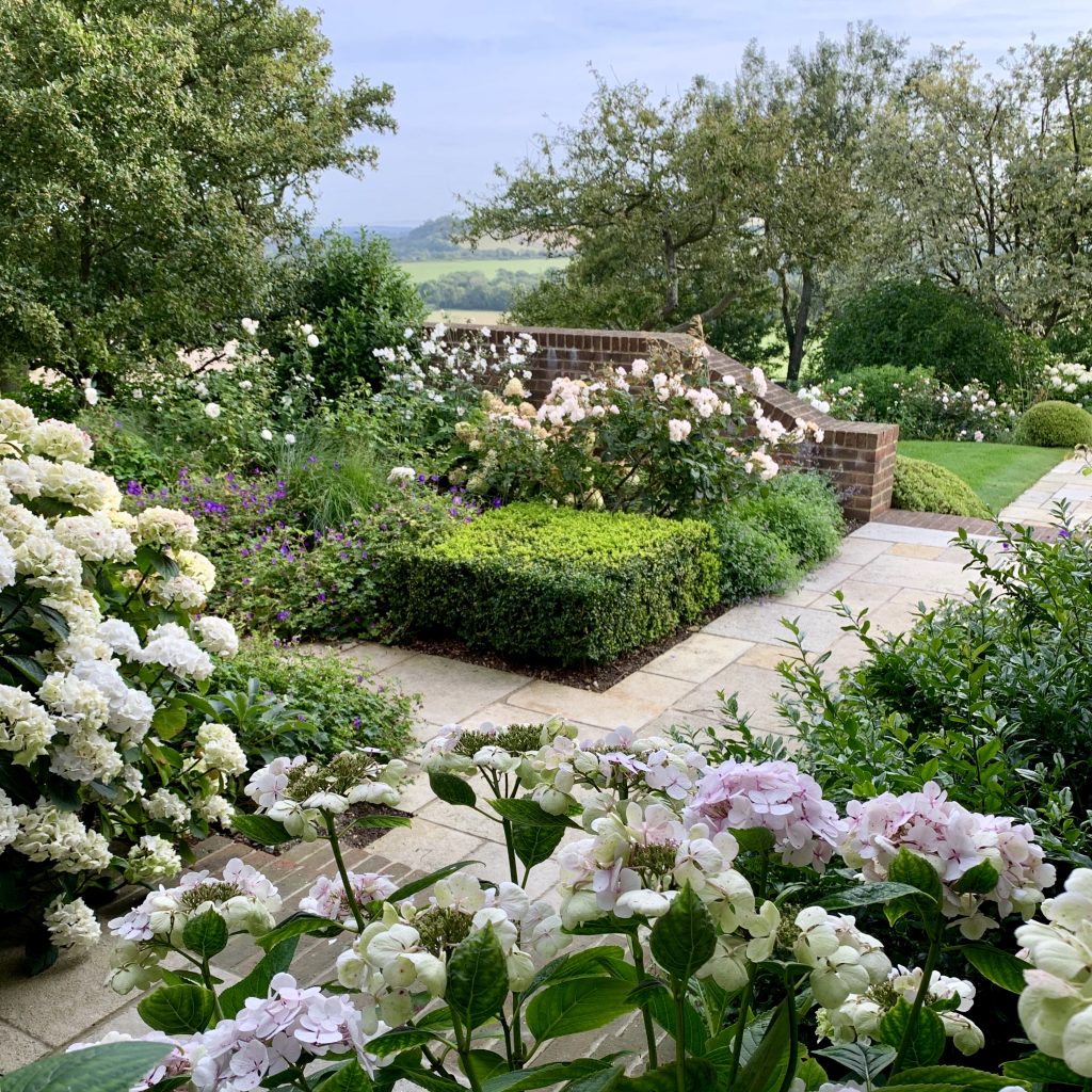 Acres Wild Isolated Idyll Hydrangeas