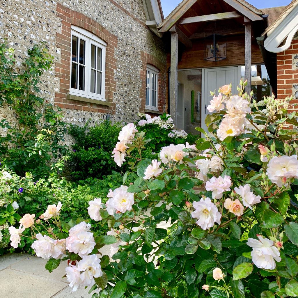 Acres Wild Isolated Idyll Roses