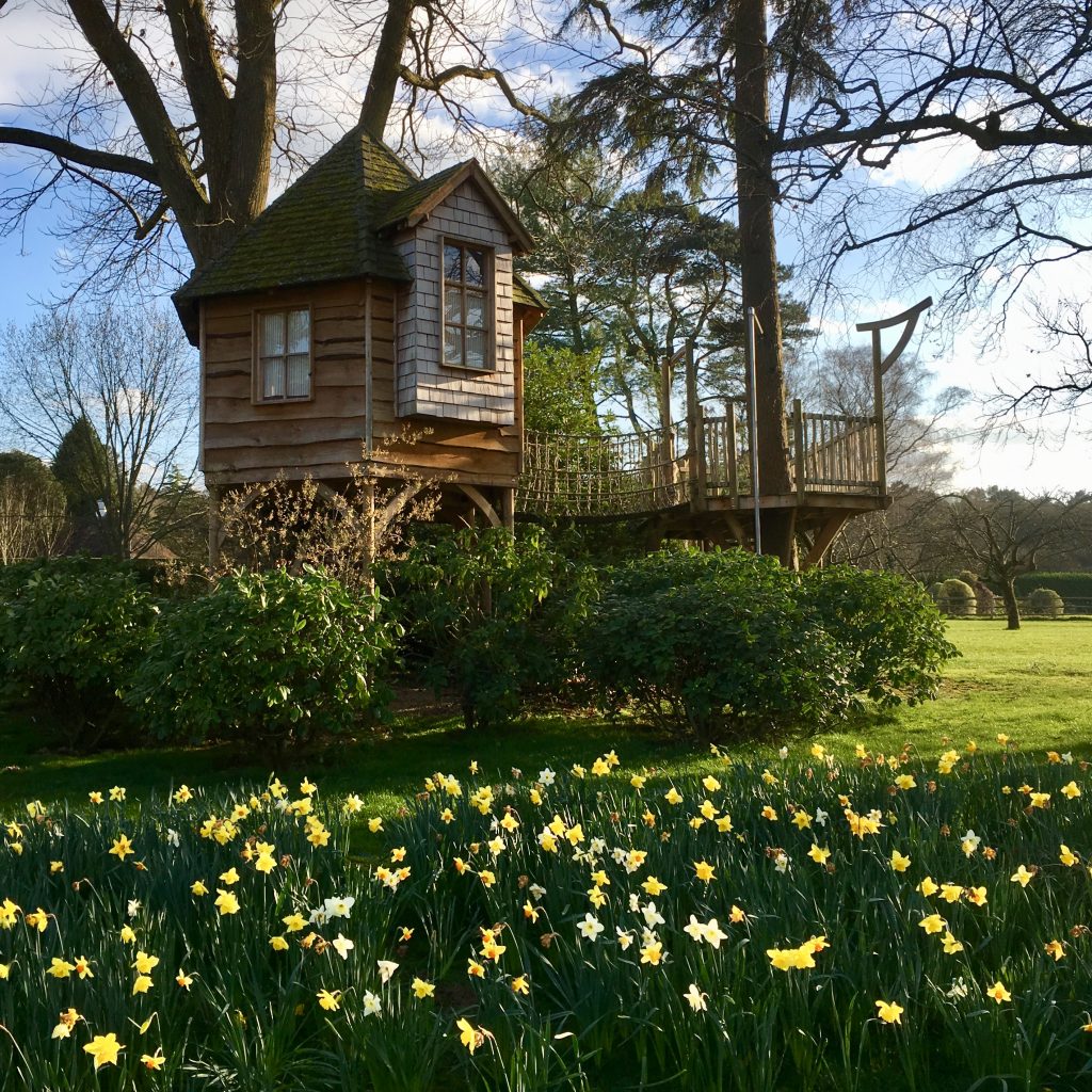 Acres Wild Surrey Serene Tree House