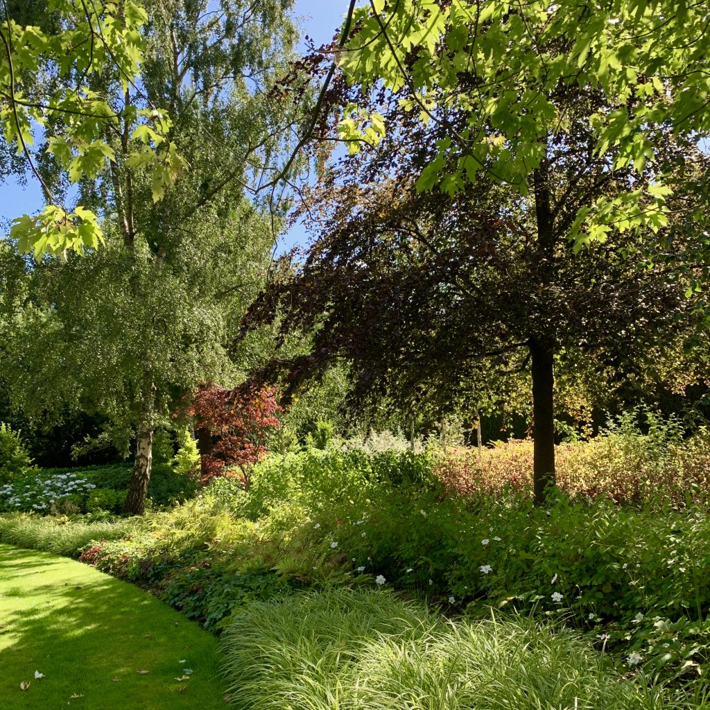 Acres Wild Surrey Serene Tree Planting