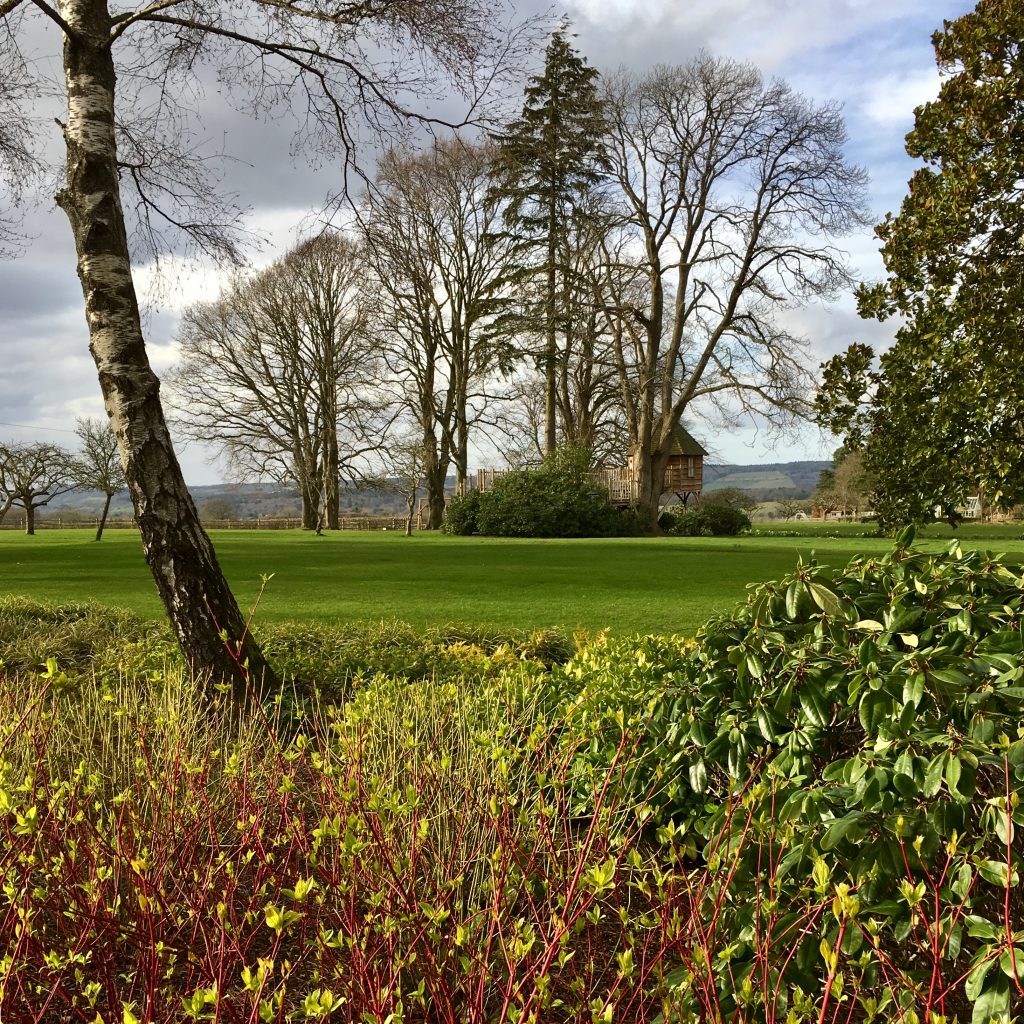 Acres Wild Surrey Serene View to Tree House