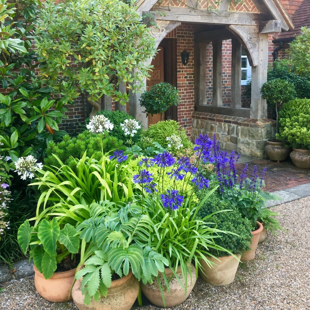 Acres Wild Traditional Terraces Potted Plants